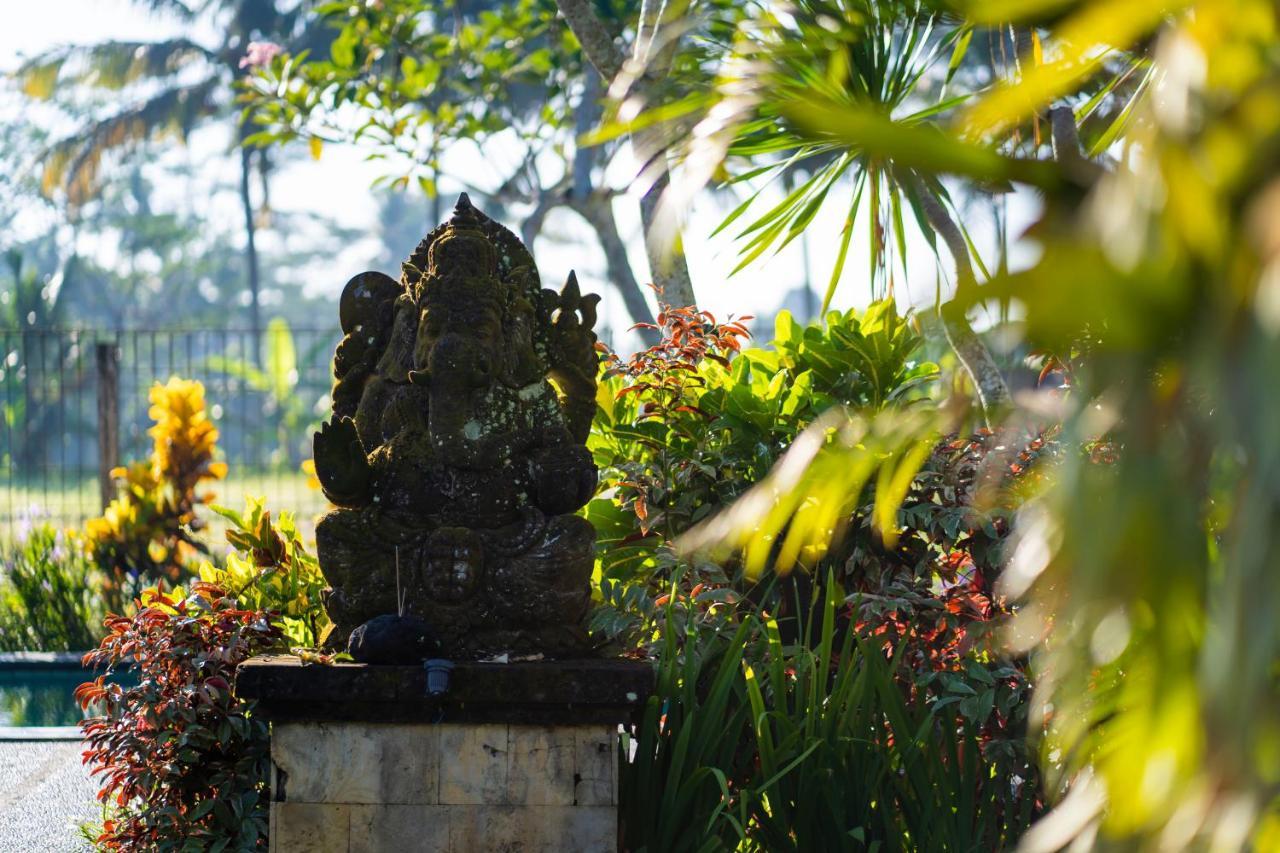 Villa Mandi Ubud Esterno foto